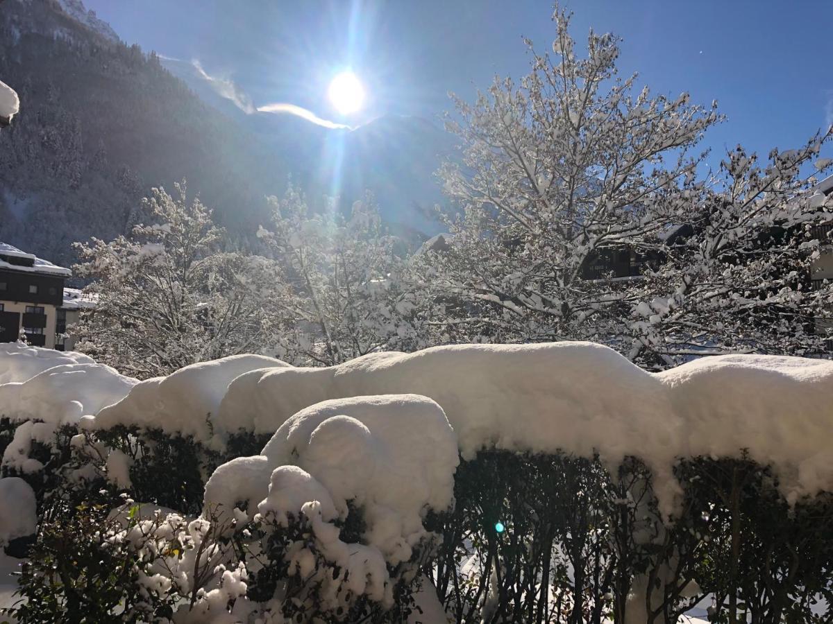 Chamonix 27 - Au Centre Vue Mont Blanc Et Jardin 아파트 외부 사진